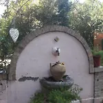 Il Gatto E Il Violino *