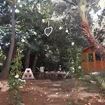 Il Gatto E Il Violino * Lido di Fermo