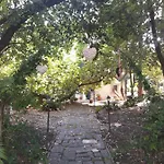 Il Gatto E Il Violino * Lido di Fermo