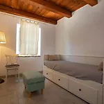 Il Gatto E Il Violino *