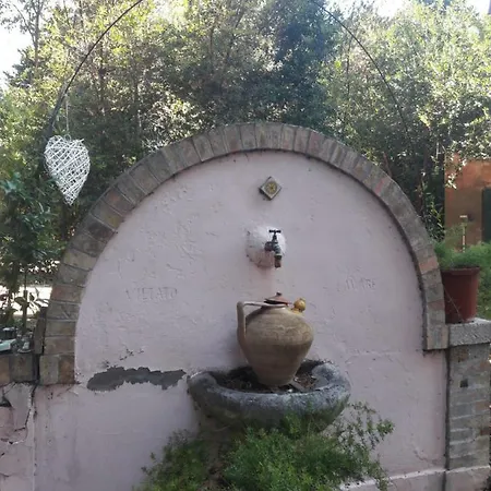 Il Gatto E Il Violino *