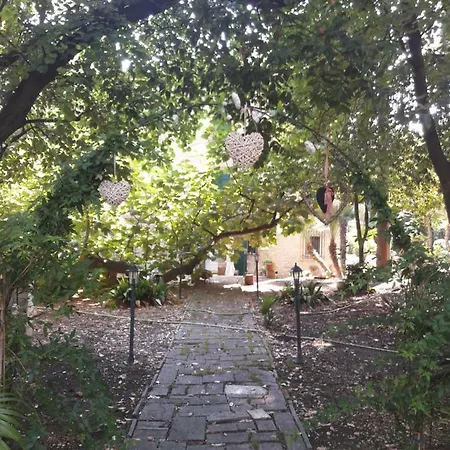 Il Gatto E Il Violino * Lido di Fermo