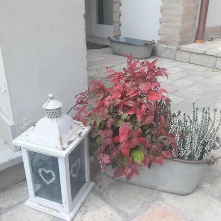 Il Gatto E Il Violino Holiday home *